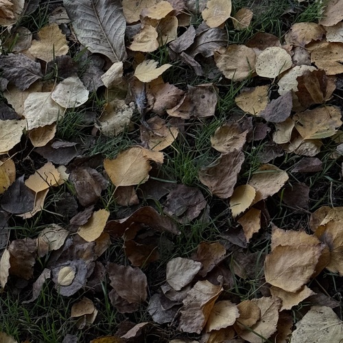 Photo #14144923