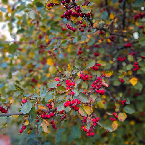 Photo #14145076