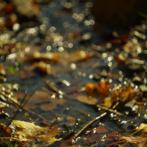 Photo #14145096