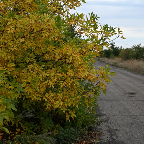 Photo #14145164