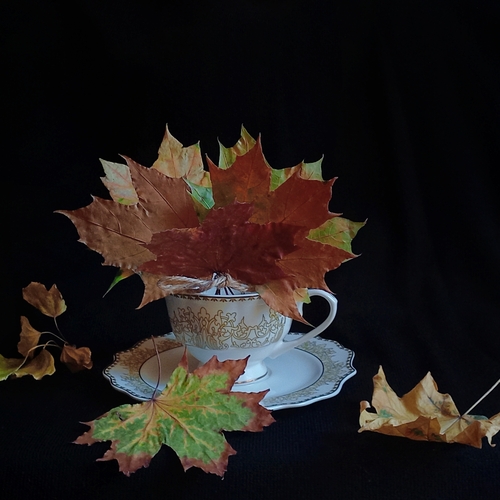Photo #14145189