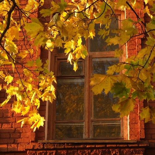 Photo #14145291
