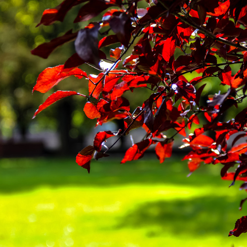 Photo #14145317