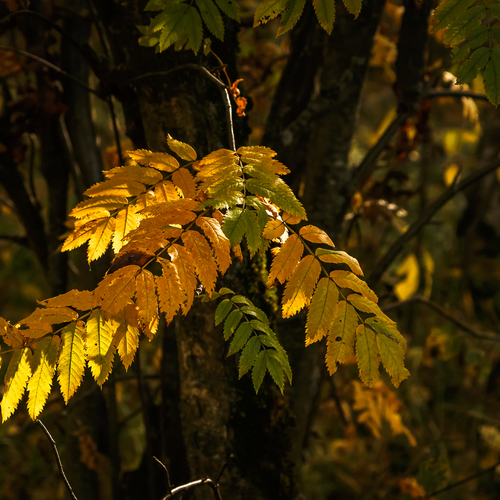 Photo #14145421