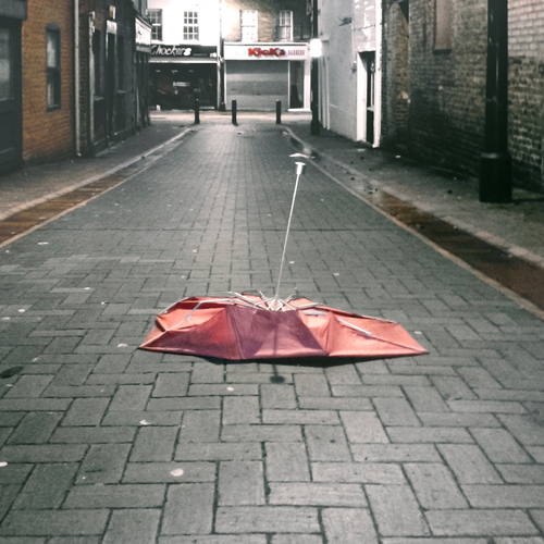 Photo #14145426