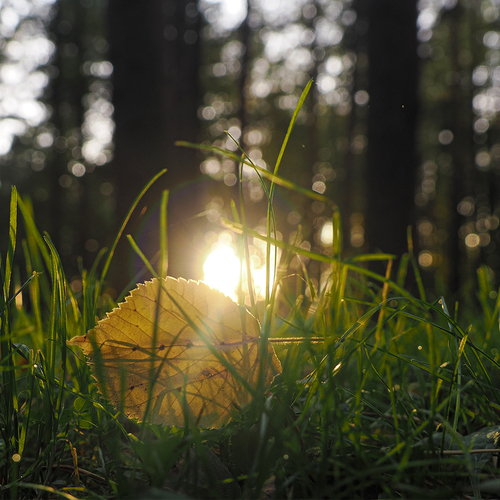 Photo #14145440