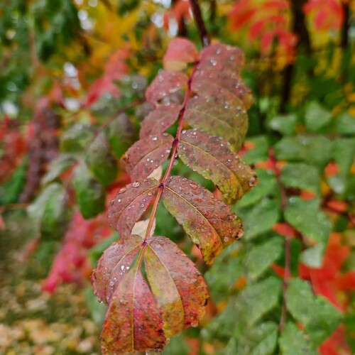 Photo #14145535