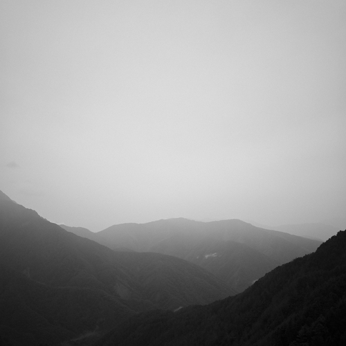 Photo #14145588