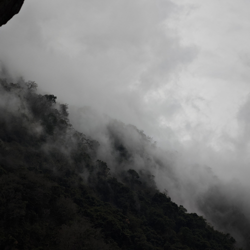 Photo #14145593