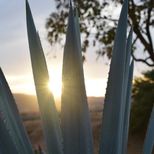 Photo #14145611
