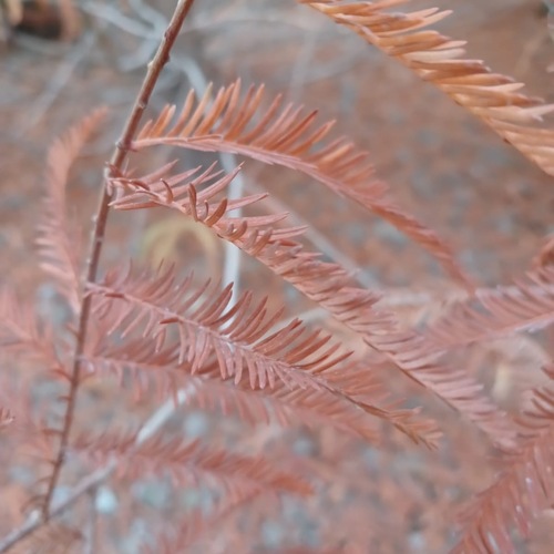 Photo #14145618