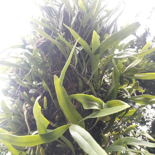Photo #14145663