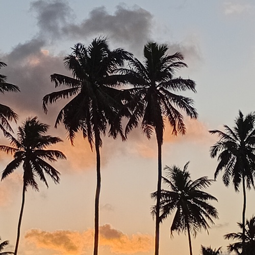 Photo #14145740