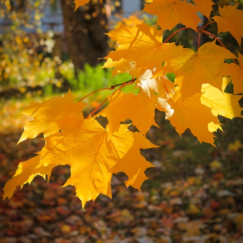 Photo #14145743