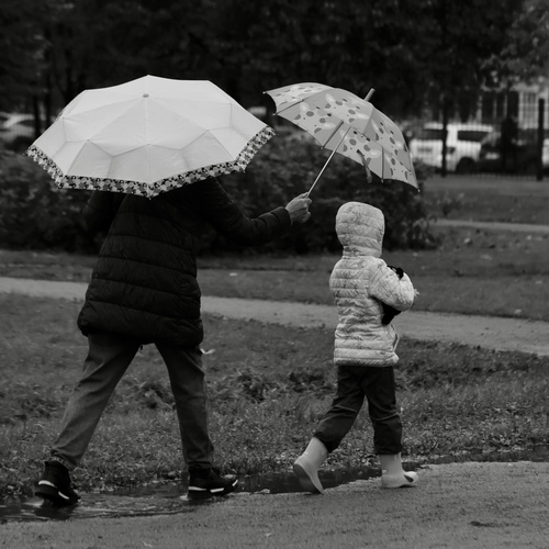 Photo #14145765