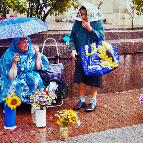 Photo #14145778