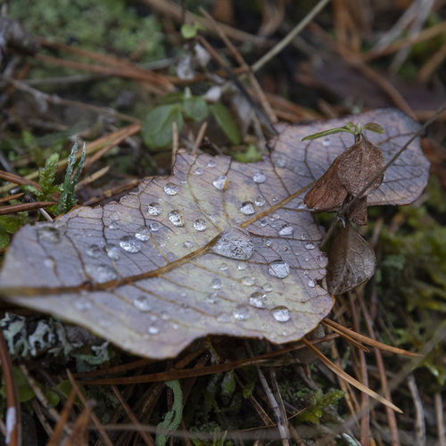 Photo #14145789