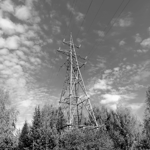 Photo #14145840