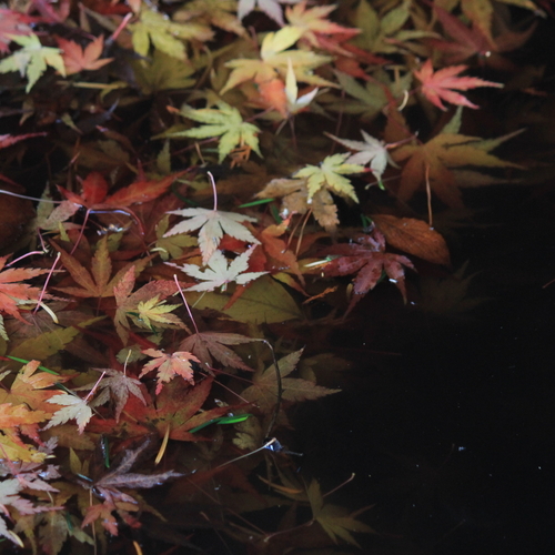 Photo #14145885