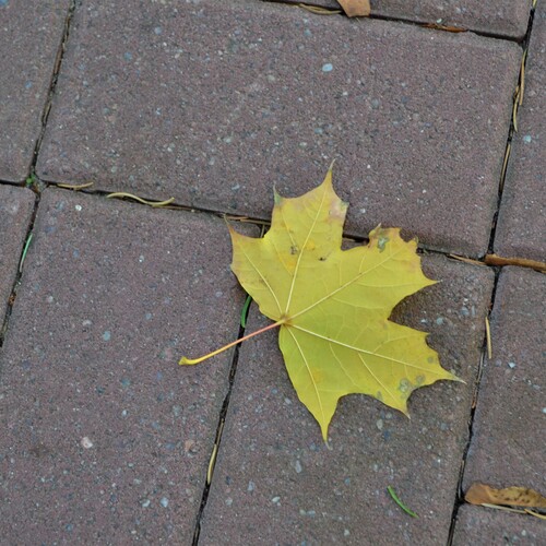 Photo #14145917