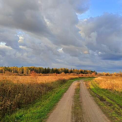 Photo #14145940