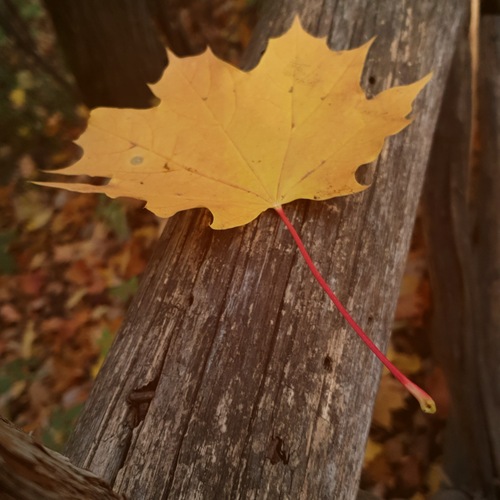 Photo #14146049