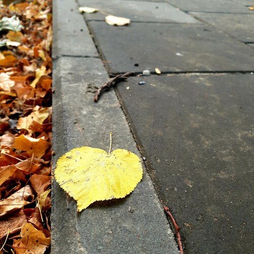 Photo #14146066