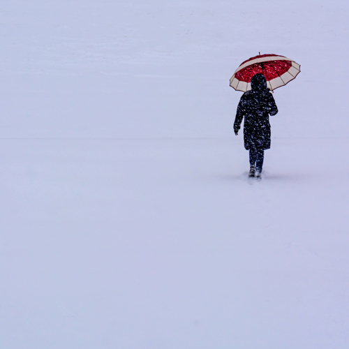 Photo #14146087