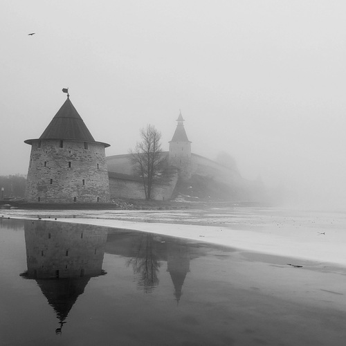 Photo #14146114