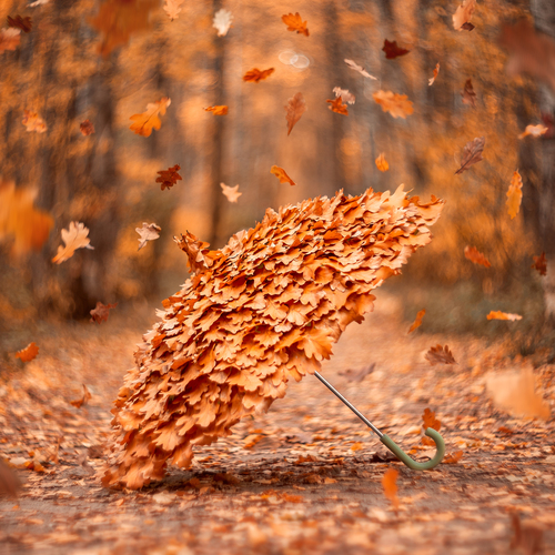 Photo #14146224