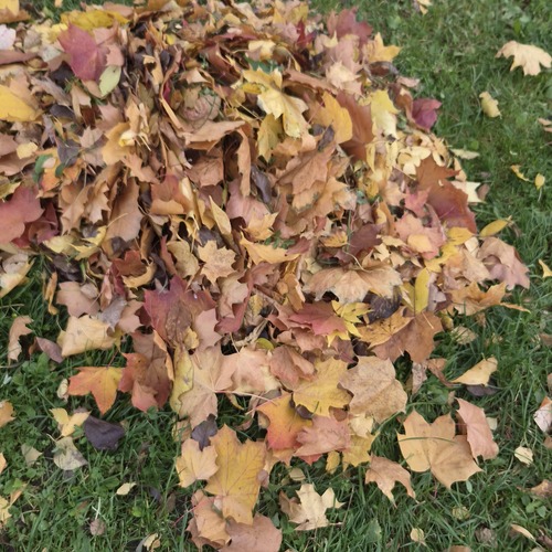 Photo #14146279