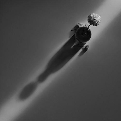 Фотография #14146393
