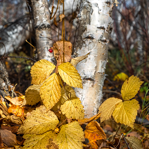Photo #14146454