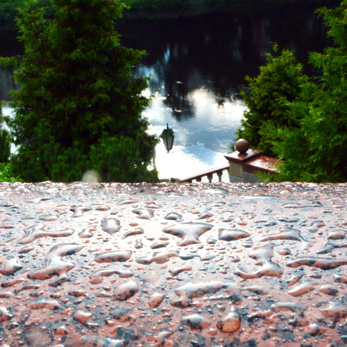 Photo #14146473