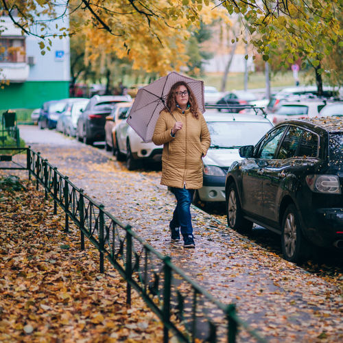 Фотография #14146536