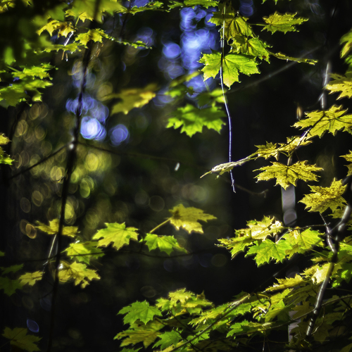 Photo #14146575