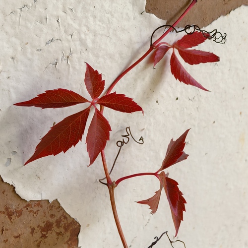 Photo #14146657
