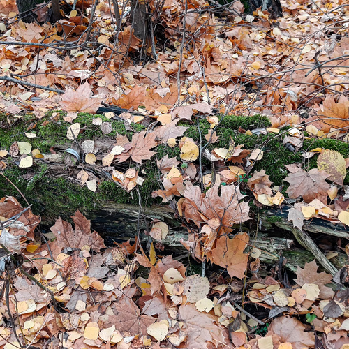 Photo #14146682