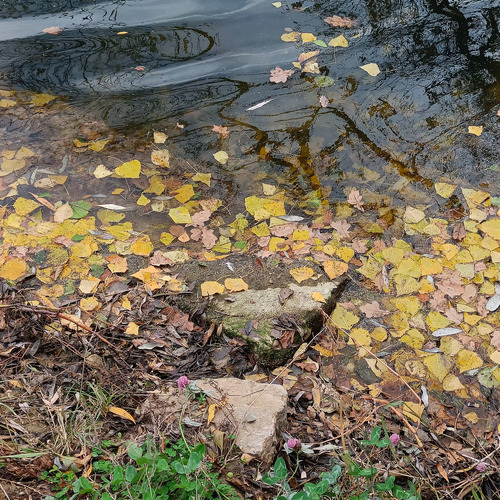 Photo #14146683
