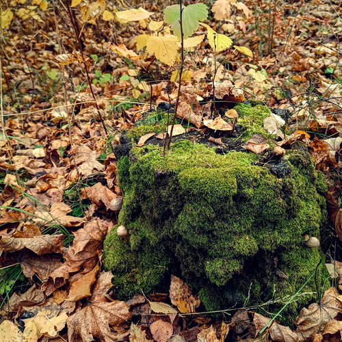 Photo #14146684