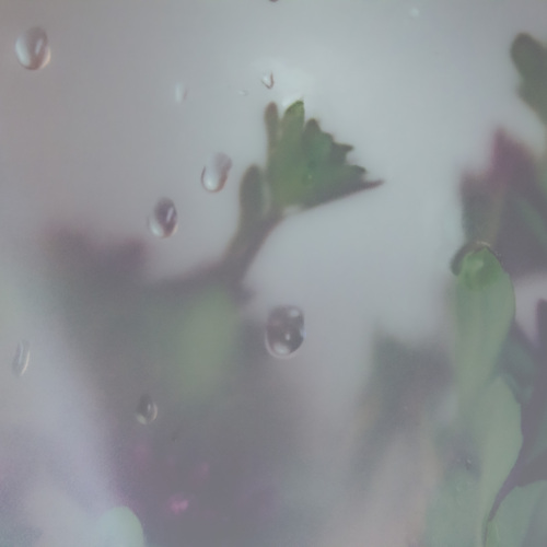 Photo #14146698