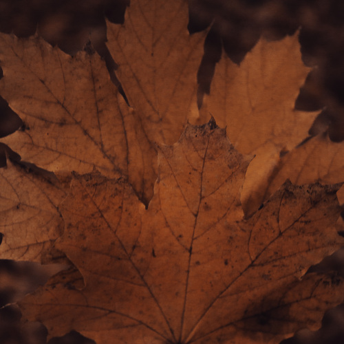 Photo #14146733