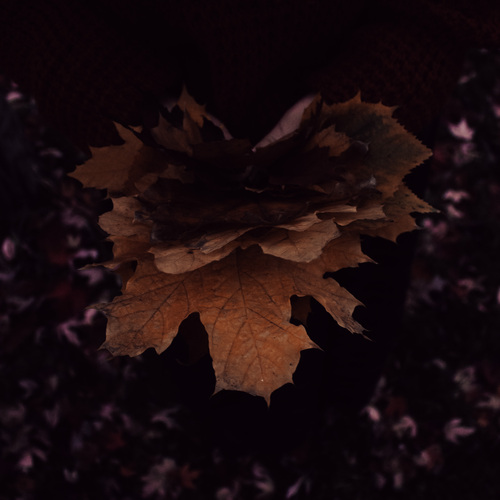Photo #14146769