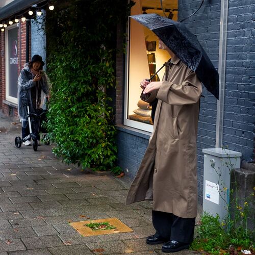 Photo #14146782