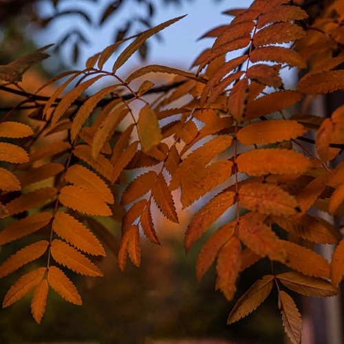 Photo #14146796