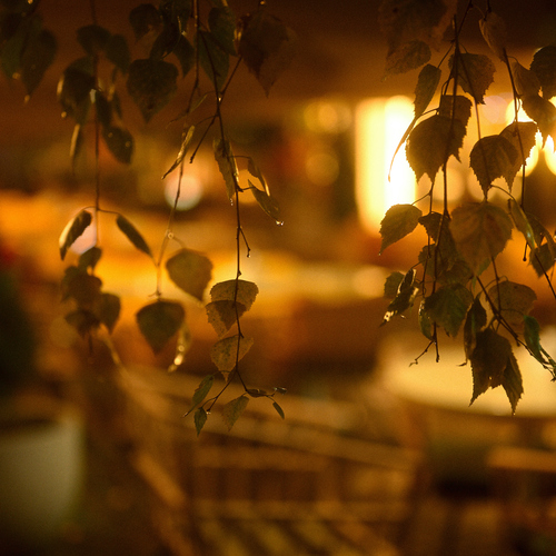 Photo #14146862