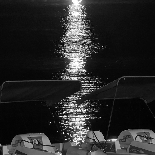 Photo #14146904