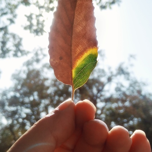 Photo #14146953