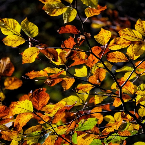 Photo #14146974