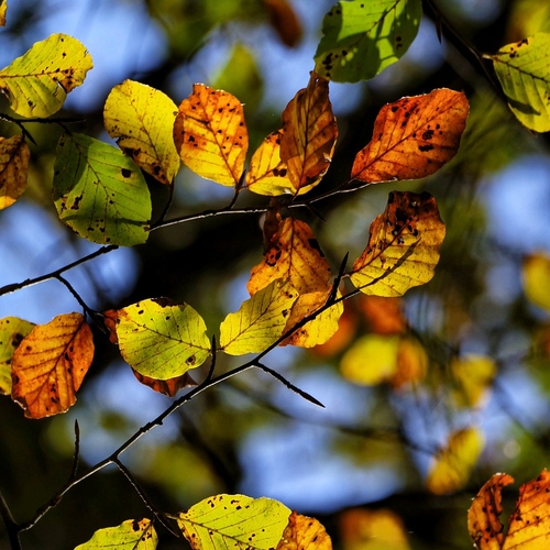 Photo #14146985